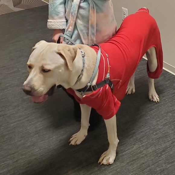 Fab Dog Thermal Pajamas - Picture 7 of 7